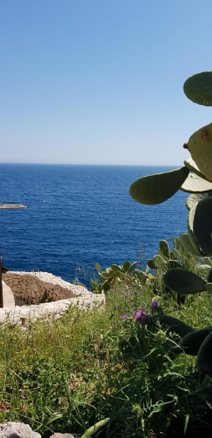 Affittasi Casa Vacanza A Casa Di Emma เลเวราโน ภายนอก รูปภาพ